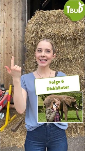 Enyas Lieblingsfolgen 🎞 | Tiere bis unters Dach #shorts