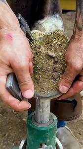 1.7K views | Mega Memes on Reels | Facebook