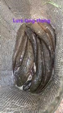 ngày 9 tháng 12, 2025