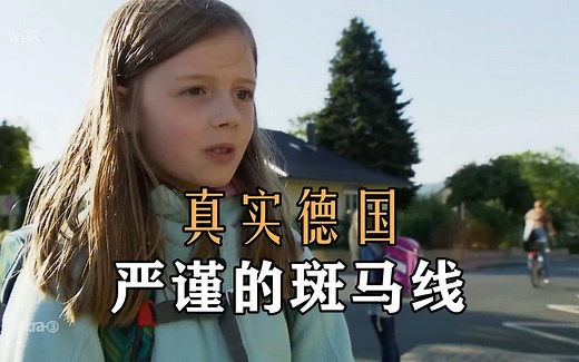 【真实德国】严谨的斑马线