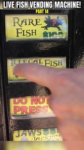 1.9M views · 28K reactions | I found a LIVE Fish vending machine… Part 14 of 16! | RAWWFishing | Facebook