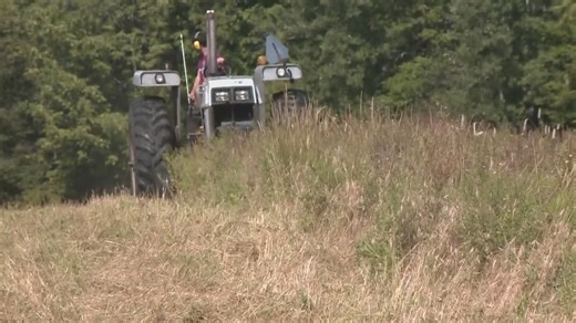 USDA to reopen offices to help farmers and ranchers get aid