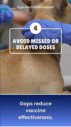 Pet Vaccination Basics 💉 | Protect Your Dog & Cat from Dangerous Diseases