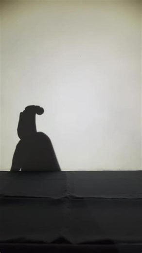 Hand Shadow Contemporary Dance | Shadow Aesthetic DP for Instagram