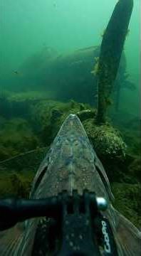 Found a LOST PLANE Crash Underwater ✈️💀
