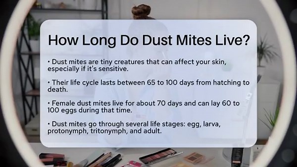 How Long Do Dust Mites Live? - Skin Savvy Dermatology
