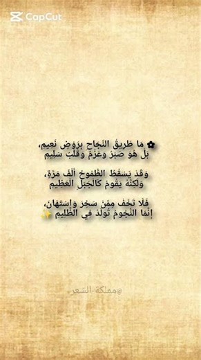 شعر عن النجاح – من رحم الألم يولد الأمل