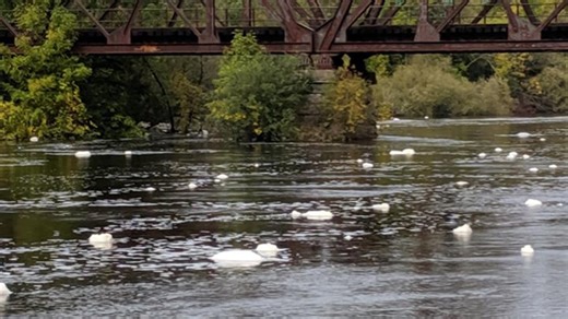 State and Tyco Fire Products near settlement in PFAS pollution lawsuit