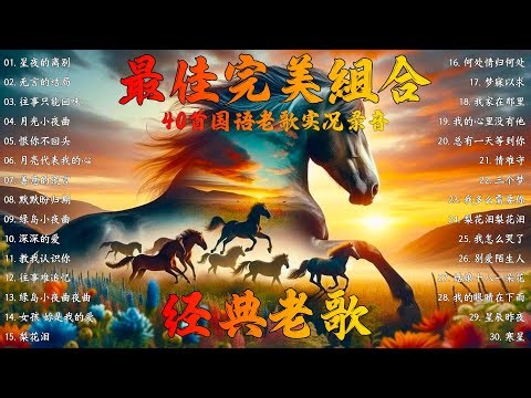 最佳完美組合 : 40 情歌合唱精品集【李茂山 Li Maoshan】【林淑容 Lin Shurong】: Best Songs Of Li Mao Shan Lin Shurong :无言的结局