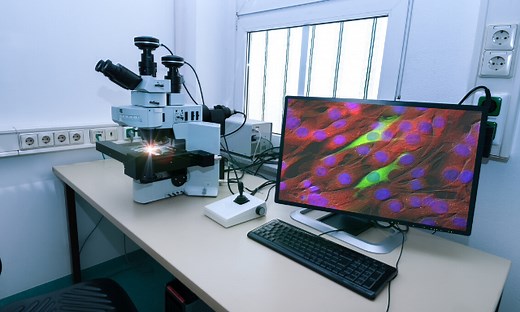 りん酸カルシウム-トランスフェクションの原理とプロトコル