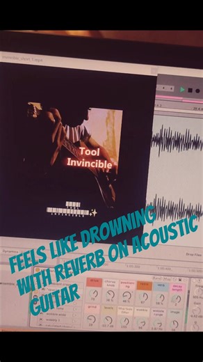 invincible feels like drowning with a lot of reverb on acoustic #tool #shorts