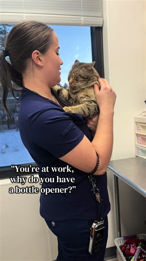 Top Veterinary Medicine Hacks You Need to Know