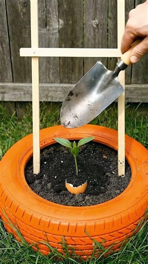 Easter Egg Garden Hack 🥚✨ Growing Amazing Cucumbers In Eggshells #diy #gardening