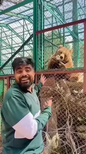 Itna bada bhaalu 🐻🐻‍❄️ #dushyantkukreja #viral #trending #funny#fun #shortvideos#memes #bar #shorts