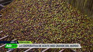 299K views · 2.7K reactions | Baja el precio del aceite de oliva casi...