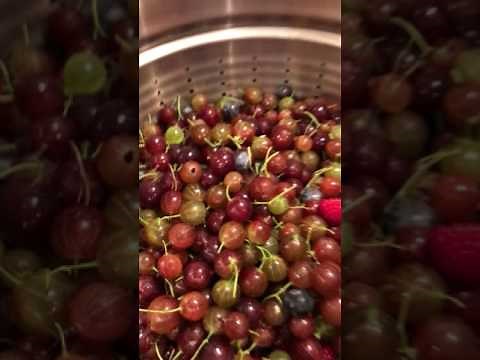 Making Juices with Mehu Liisa Steamer