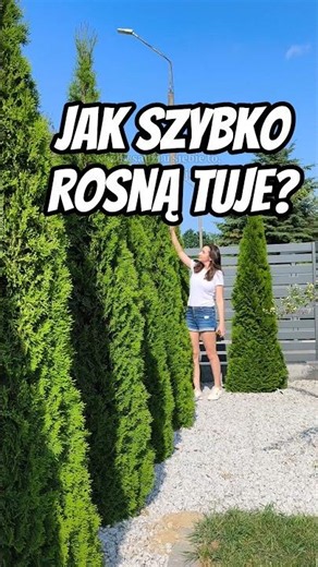 What to plant for a hedge. How fast do Emerald Green arborvitae grow #garden #hedge #emeraldgreen...
