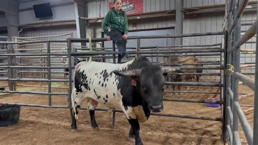 Paint Power! | Nothin' But Try Ranch and Event Center