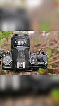 Nikon DF: Size, Build, and Practicality Examined #shorts