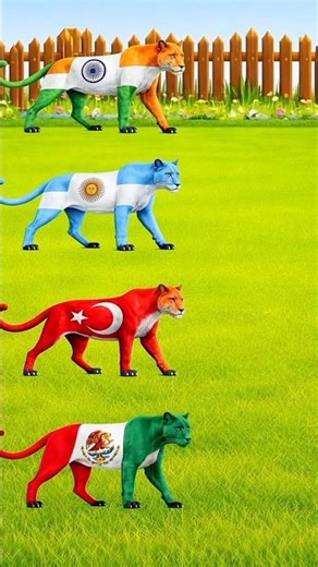 999% Fail! Fix the Flag Animals Challenge 🧠🐆#usashorts #viralshorts