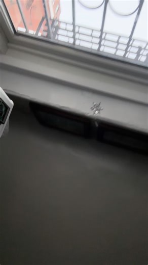 A brief history of blueberries. #bmx #parkour | Dave Hill