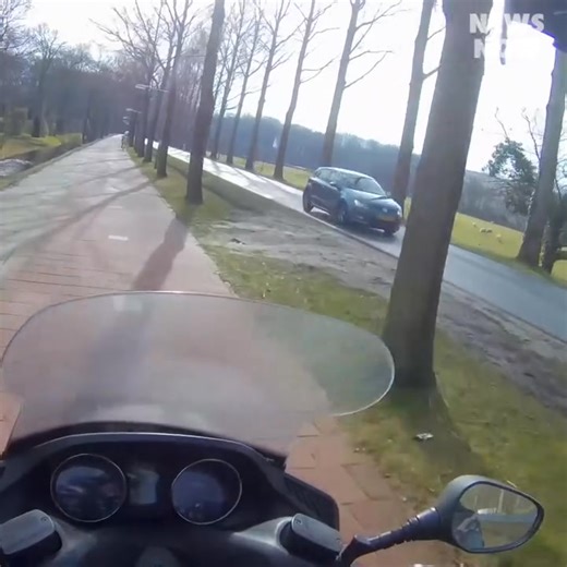 Biker Chases Runaway Horse | Hot & Hostile