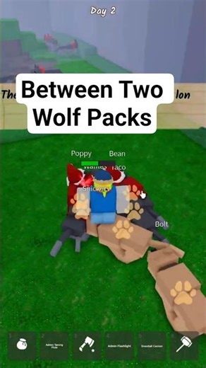 Between Two Wolf Packs 😳🐺 | Roblox 99 Nights in the Forest