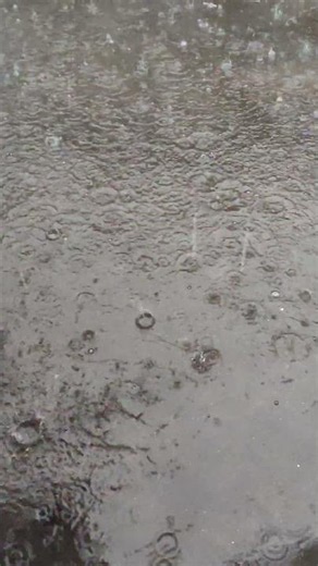 soothing rain #satisfying #countrybeauty #nature