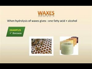Differences between Fats and Waxes (Based on Chemical structure, Physical state, Sources, Functions)
