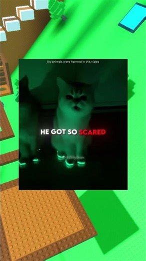 This man made light-up shoes for his cats💡🐈 #shorts #roblox #funny #rblx #memes #relatable