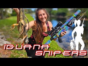 Iguana Snipers: back Hunting Iguanas in South Florida
