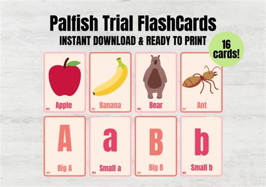 Palfish Props | 16 Printable Teacher Flashcards for Palfish Trial Classes, Teaching English as a Second Language Tutor Cards - Etsy