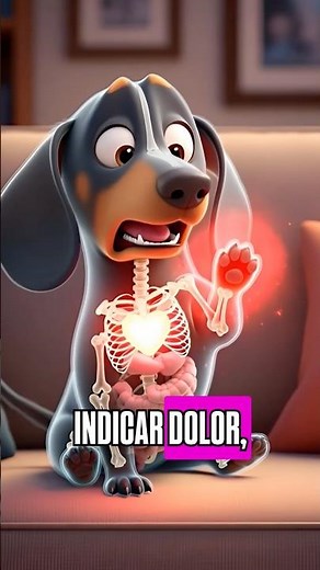 ¿Tu perro se lame las patas todo el tiempo? ⚠️