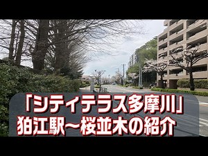 【シティテラス多摩川】狛江駅～桜並木のご紹介動画 住友不動産のマンション