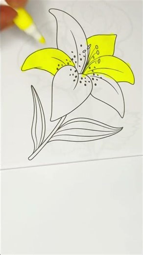 Beautifully Coloring the Lily #drawing #colorfulcreativekids #art