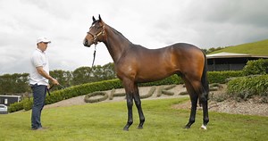 48 reactions · 15 comments | DON'T MISS THIS SERIOUS RACEHORSE - ONE...