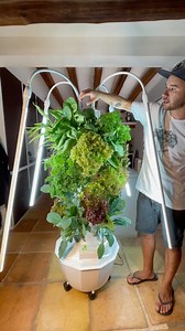 1M views · 4.5K reactions | Aeroponic towers for home-use can be set up indoors using LED grow lights allowing you to grow up to 32 plants without the use of soil. #towergarden #aeroponics #kitchengarden #veticalfarming #homegarden #hydroponics #soilless | Agrotonomy Tower Farms | Facebook