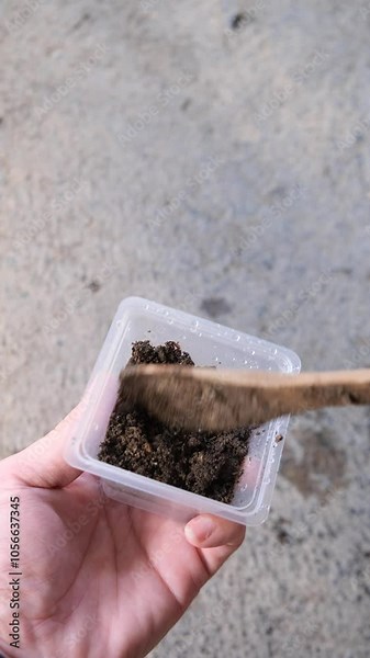 Planting a small cactus in a recycled plastic pot, highlighting eco-friendly gardening and sustainable practices.