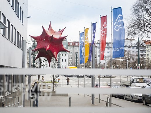 Internationale Betriebswirtschaft (Master)