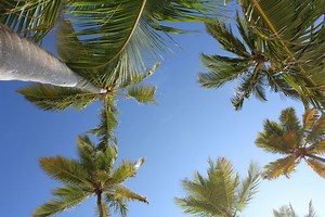 Gay Punta Cana, Dominican Republic | The Essential LGBT Travel Guide!