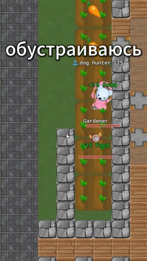 Ищу жульё #династ #глар #mopeio