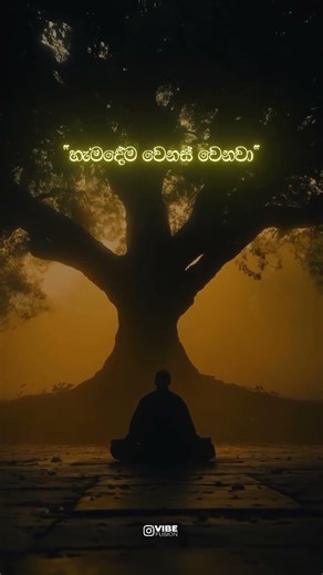 හැමදේම වෙනස් වෙනවා...(Everything changes) ☸️✨ #sinhalawadan #life #shorts #innerpeace #srilanka #fyp
