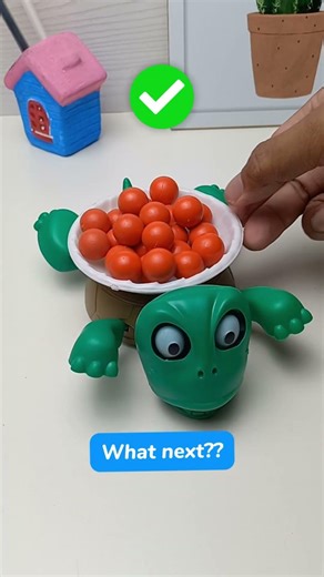 What do you want me to put on top of the turtle next? #turtle #coaster #turtlecoaster El411