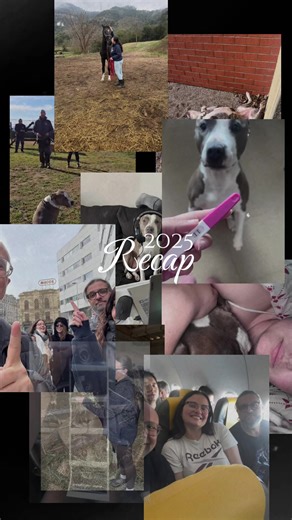 #resumen2025 he volado por primera vez en avión con mis personas favoritas, conseguí el caballo de mis sueños, haciendo feliz a mi niña interior y formé una familia con el chico del que me enamoré a los 16, cumpliendo mi mayor deseo. Ser mamá. Gracias 2025 por tanto