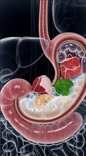 “This Is What Happens When You Eat Too Fast” ⭐