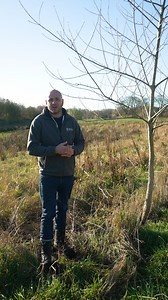 5.3K views · 118 reactions |  National Tree Week starts today! ...