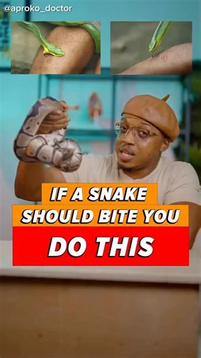 Egemba Chinonso Fidelis on Instagram: "This is what to do when a snake bites you. Share this to save a life!"