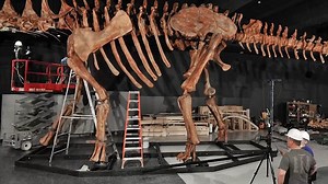 Museum builds a 122-foot-long dinosaur called Titanosaur