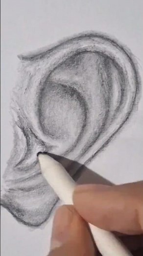 How to draw realistic ear step by step for beginners