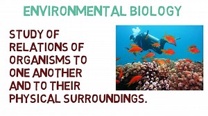 13 Main Branches of Biology - video Dailymotion